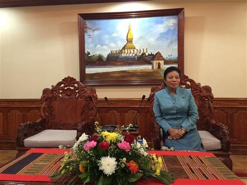 Vertiefung der Zusammenarbeit zwischen Vietnam und Laos - ảnh 1